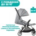 Коляска CHICCO GOODY PLUS Dusty Green 04079877190000