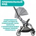 Коляска CHICCO GOODY PLUS Dusty Green 04079877190000